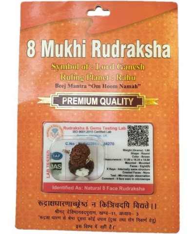 Rudraksha Brown Certificate Lab Test & X-ray Report with Silver Capping| Rudraksha Pendant for Men & Women, 5 Mukhi, Rudraksh...