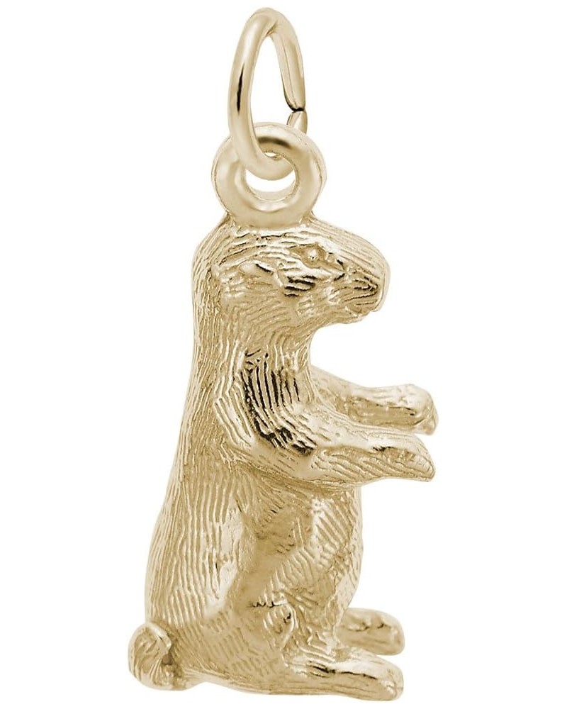 Groundhog Charm Pendant Available in Gold or Sterling Silver Yellow Gold 14K $24.75 Pendants