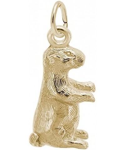 Groundhog Charm Pendant Available in Gold or Sterling Silver Yellow Gold 14K $24.75 Pendants