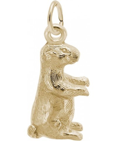 Groundhog Charm Pendant Available in Gold or Sterling Silver Yellow Gold 14K $24.75 Pendants