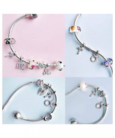 12 Zodiac Sign Charms for Charm Bracelets - 925 Sterling Silver Constellation/Horoscope Pendants Leo (7/23～8/23) $10.29 Brace...