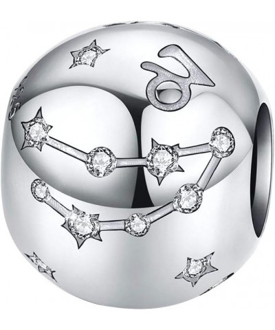 Zodiac Star Sign 925 Sterling Silver Bead Charm Fits Bracelets Necklace 12 Constellations Charm Compatible with Pandora Brace...