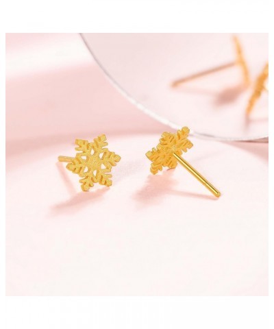 24K Gold Earrings for Women Stud Earrings Snow Studs with Box $98.70 Earrings