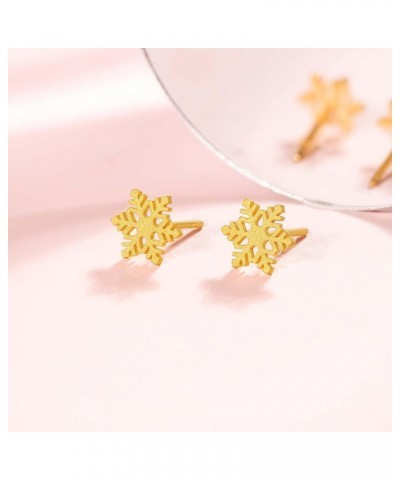 24K Gold Earrings for Women Stud Earrings Snow Studs with Box $98.70 Earrings