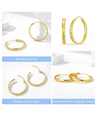 Sterling Silver Hoop Earrings, Hypoallergenic Polished Endless Circle Hoops 18K Gold Jewelry Gifts for Women Girls 20mm/30mm/...