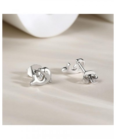 925 Sterling Silver Earrings Stud Earrings for Women Post Earrings Small Jewelry Cute Earrings Heart Love Cat Rabbit Bunny Do...