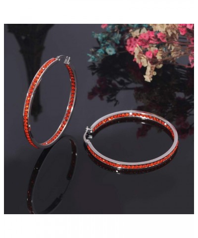 Mult-colors Crystal Stainless Steel Hoop Earring for Women Hypoallergenic Jewelry for Sensitive Ears Large Big Hoop Earrings ...