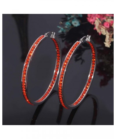 Mult-colors Crystal Stainless Steel Hoop Earring for Women Hypoallergenic Jewelry for Sensitive Ears Large Big Hoop Earrings ...