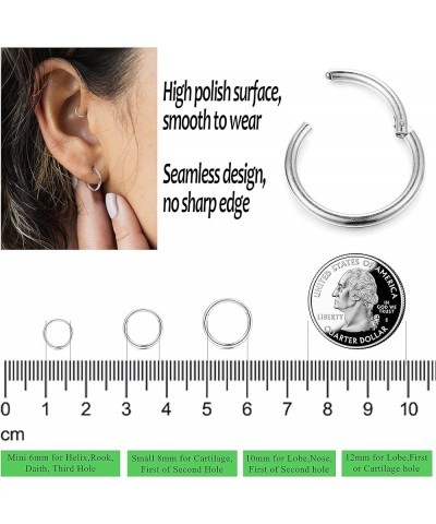 8Pcs G23 Titanium Hinged Clicker Segment Nose Rings Hoop Septum Nose Lip Ring Hoop for Women Men Helix Cartilage Daith Tragus...